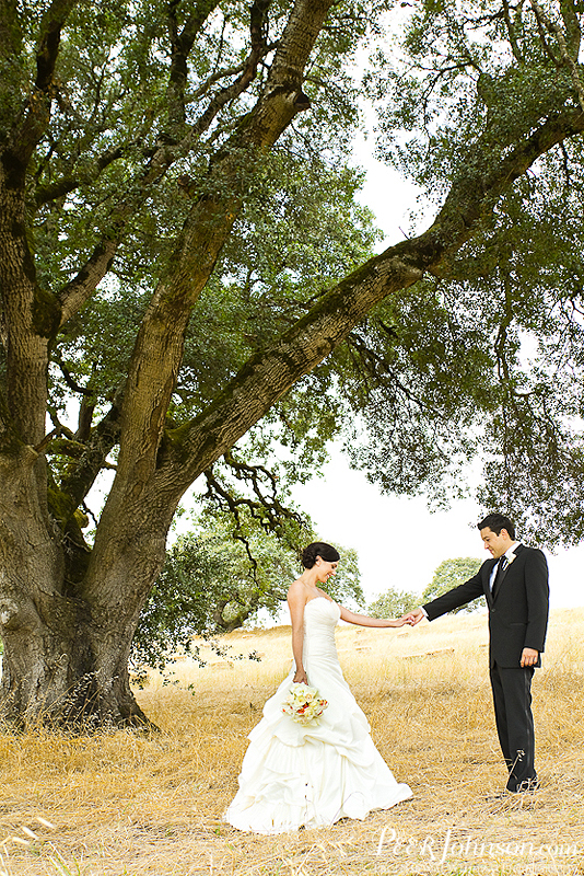 wedding photographer 107 Wine Country Wedding in Sonoma!