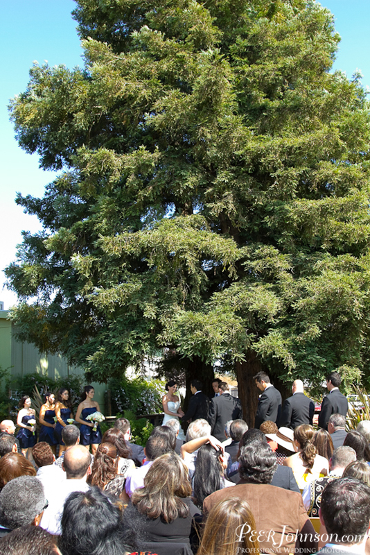 wedding photographer 117 Wine Country Wedding in Sonoma!