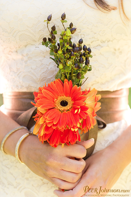 Big Sur Weddings