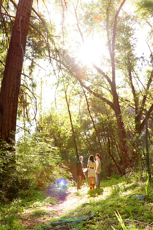 big sur elopement 17