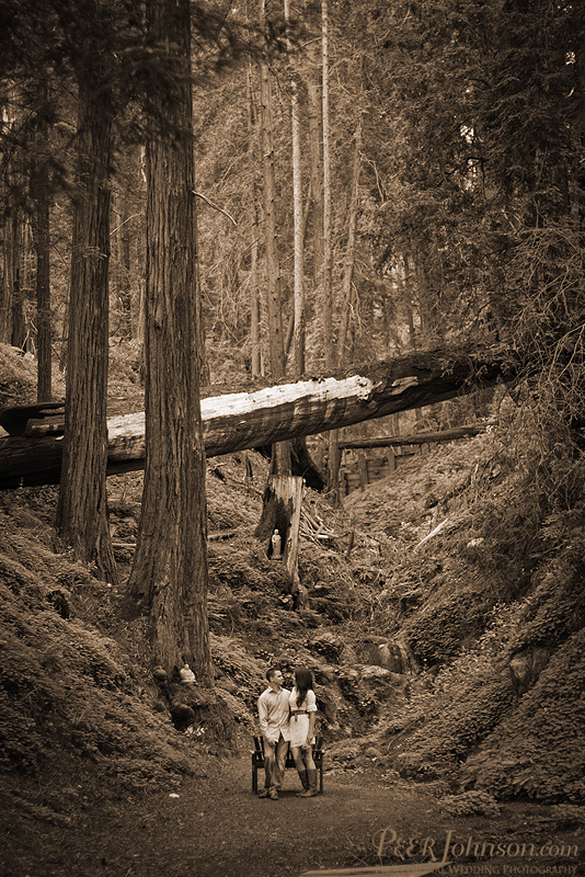 big sur elopement 23