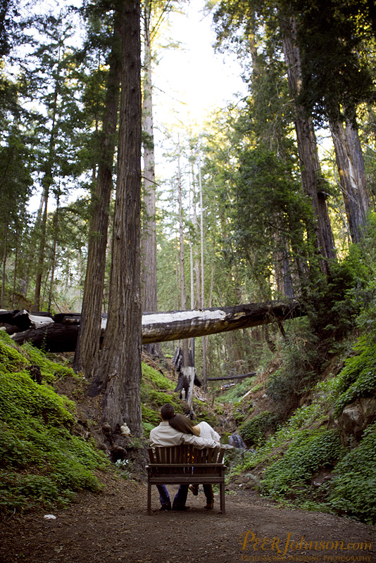 big sur elopement 24