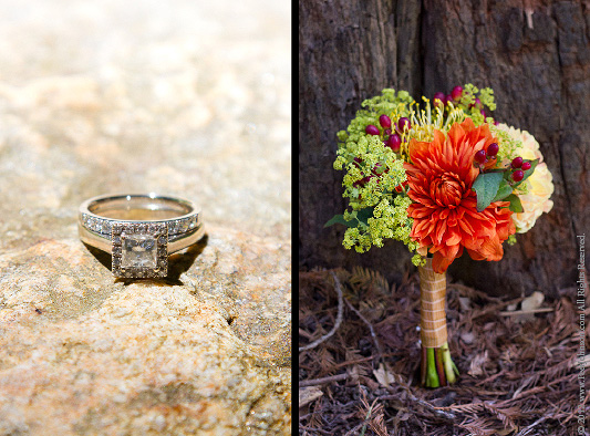 big sur wedding