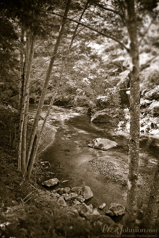 big sur river