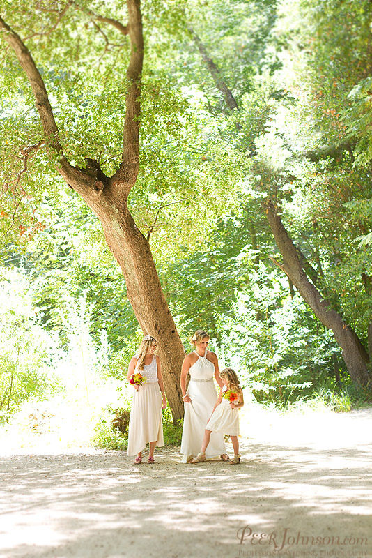 wedding in big sur