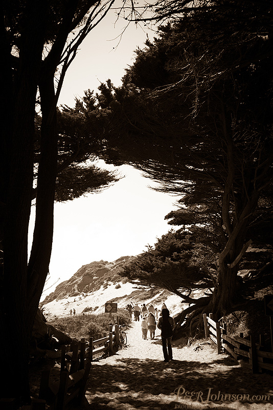 Wedding Pfieffer Beach