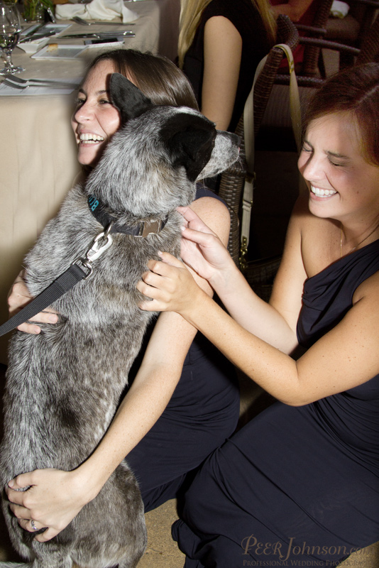 Ventana Inn Wedding Bridemaids With A Dog