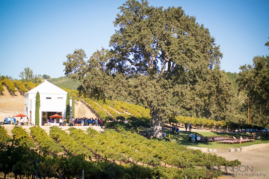 HammerSky Tasting Room HammerSky Tasting Room