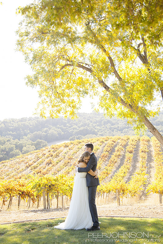 HammerSkyVineyards HammerSkyVineyards