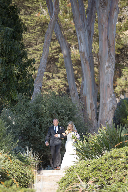 Wind and Sea Processional