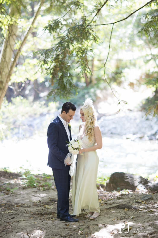 big sur elopements