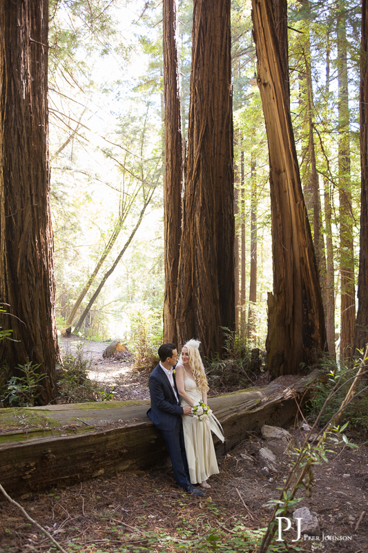 Elopement Glen Oaks