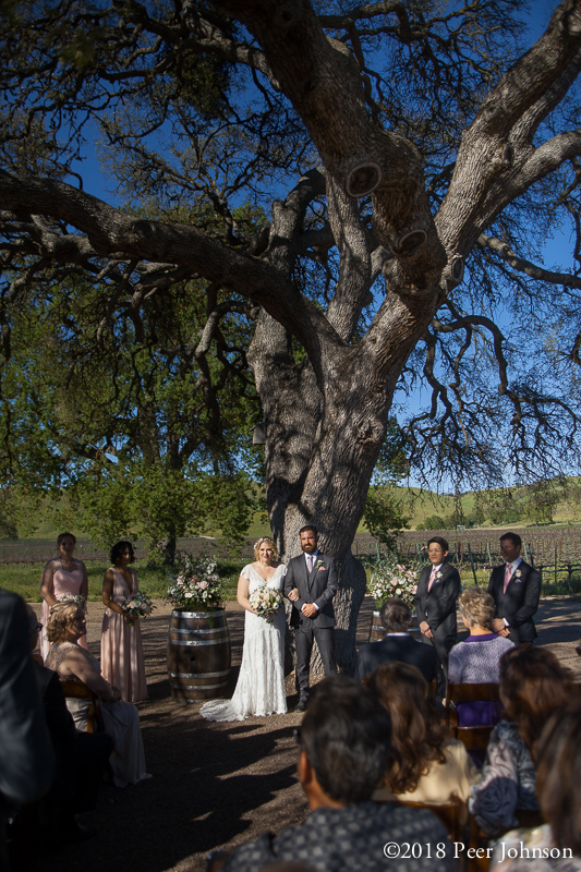 casswineryweddng 35