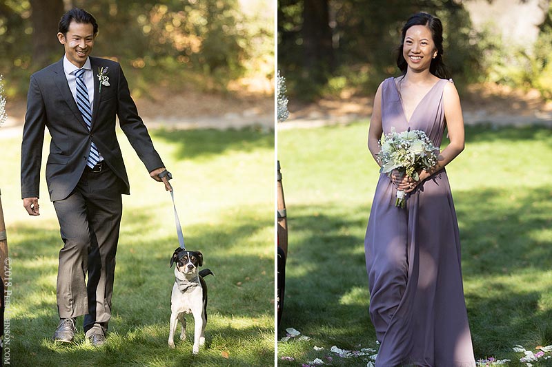 Gardener Ranch Processional Dog