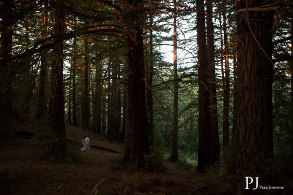 Big Sur Elopement 14